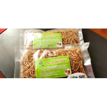 Protein-Rich Dried Mealworms for export