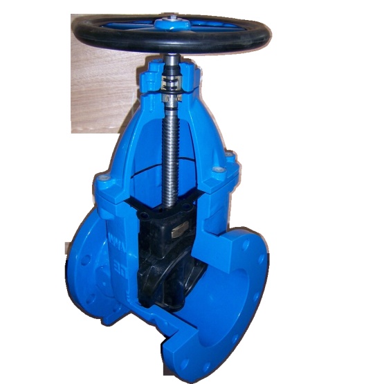 BS Resilient seated gate valve