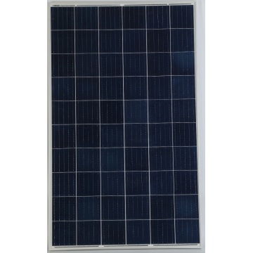 275W Poly Solar Panel