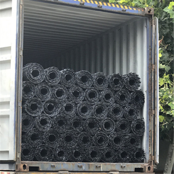 Extruded Polypropylene Biaxial Geogrid