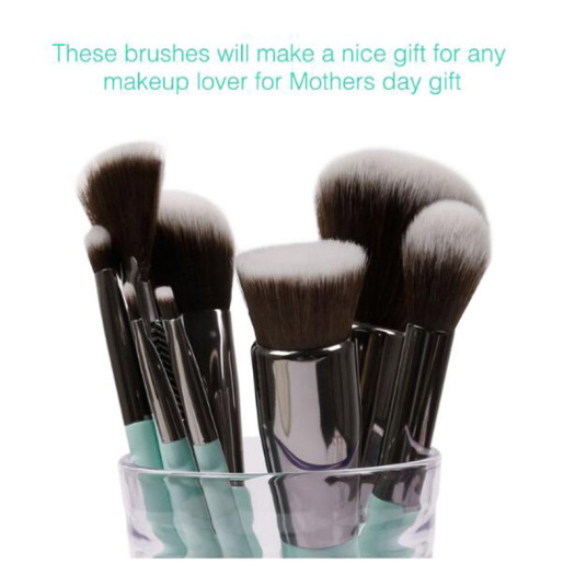 HZM 11Pcs Customized makeup brushes Set private label
