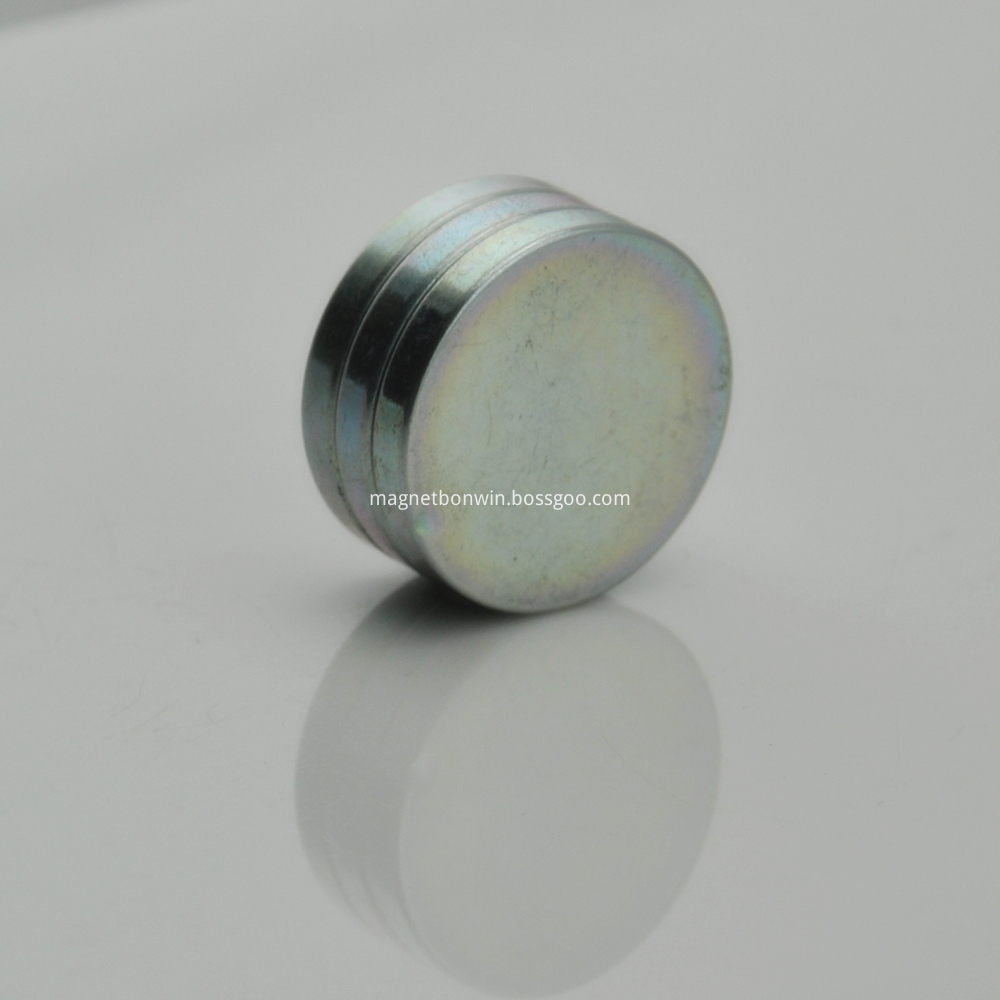 Rare earth roung magnet