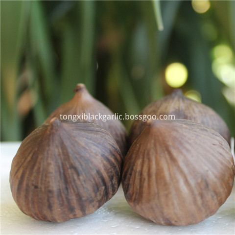 single bulb black garlic