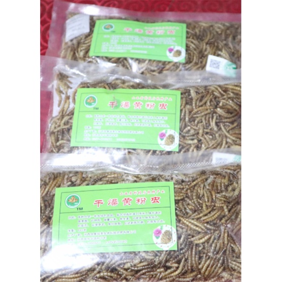 High Protein Freeze Dried Mealwormd Feed