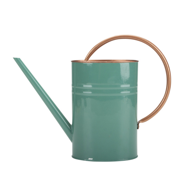 Unique Green Watering Can Small Indoor