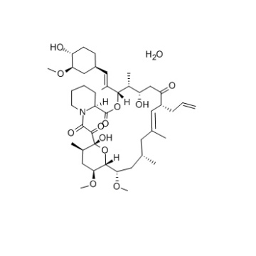 Tacrolimus Monohydrate (FK-506 Monohydrate) 109581-93-3