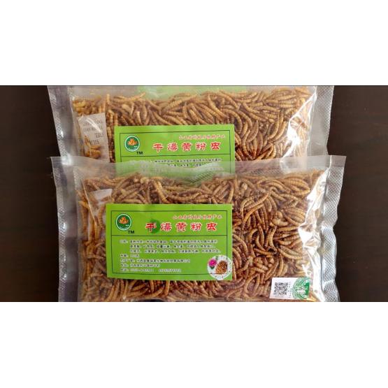 pet feed of yellow mealworms