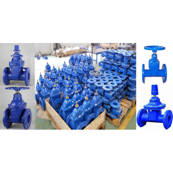 Ductile iron rubber wedge gate valve
