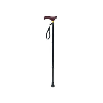 Walking Stick With Plastic Handle