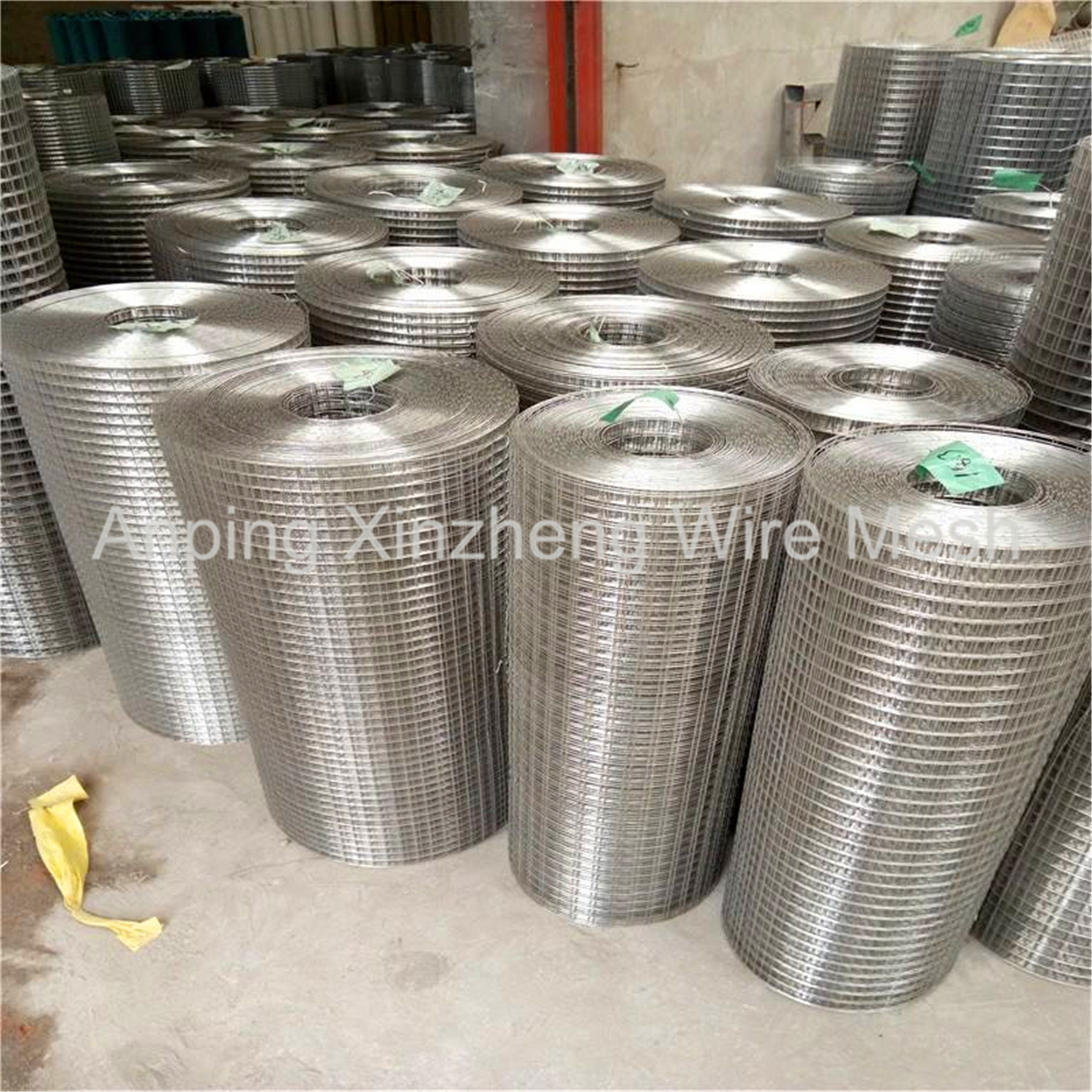 SS Welded Mesh Roll