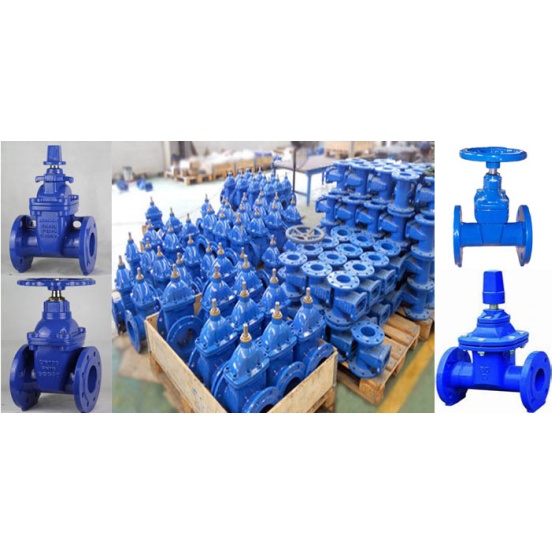 Ductile iron sluice gate valve