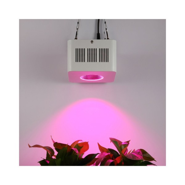 COB Grow Light LED Grow Lights for Indoor Plants