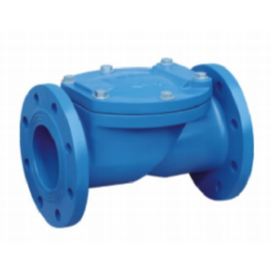 Check Valve Air Valve