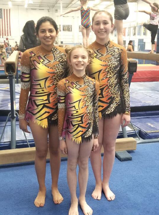 competition leotards