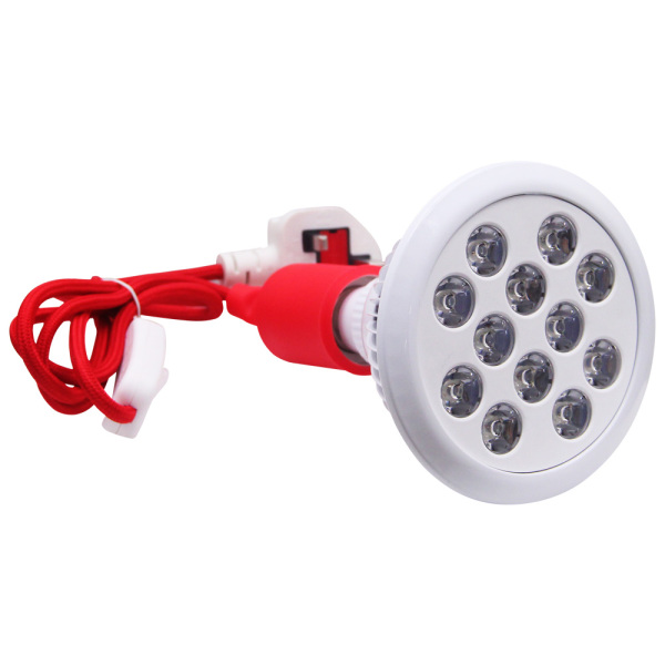 2019 new arrival Red 660nm and Near Infrared 850nm 24W led Therapy light Bulbs for Skin and Pain Relief