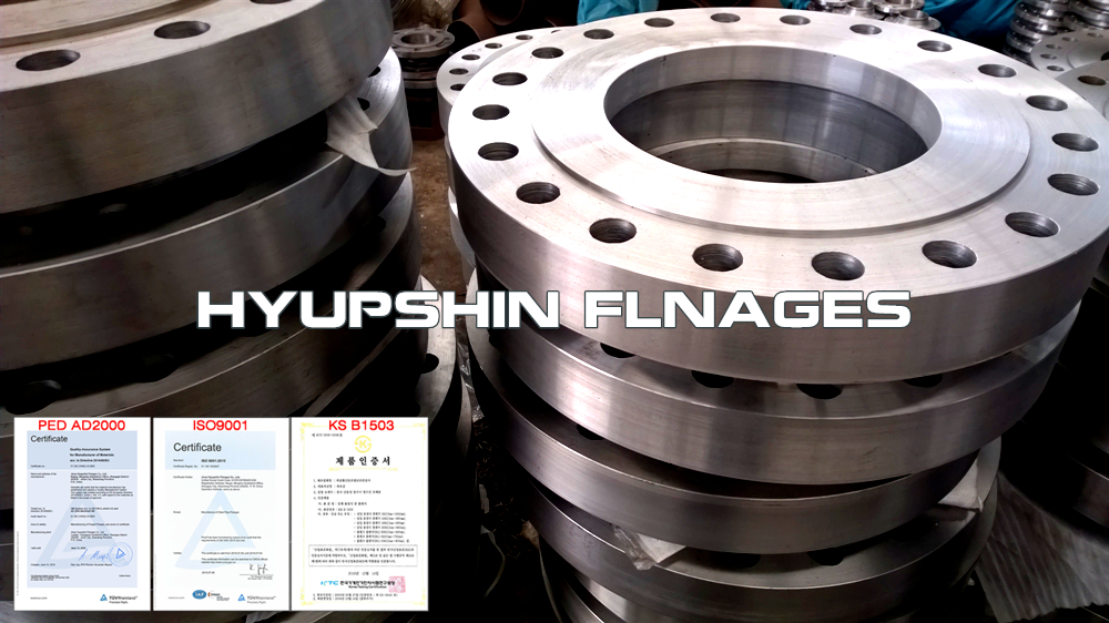 Hyupshin Flanges Socket Weld Flanges Ansi B16 5