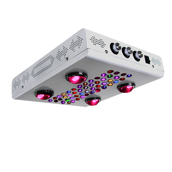 600W Dimmable LED Grow Light for Vge/Bloom