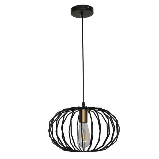 Hanging Lighting Fixture Iron oval Pendant Light