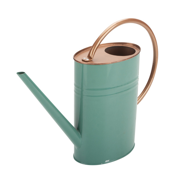 Unique Green Watering Can Small Indoor