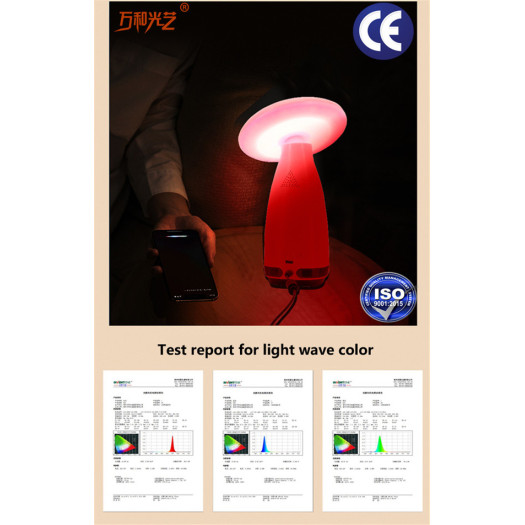 Wisdom RGBW light mushroom table lamp