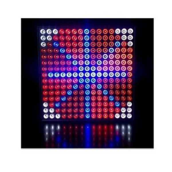 Slim Red&Blue 45W LED Grow Light