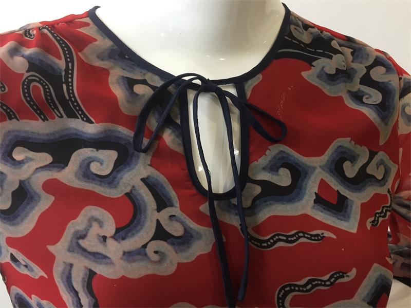 Printed Dress with a Streamer