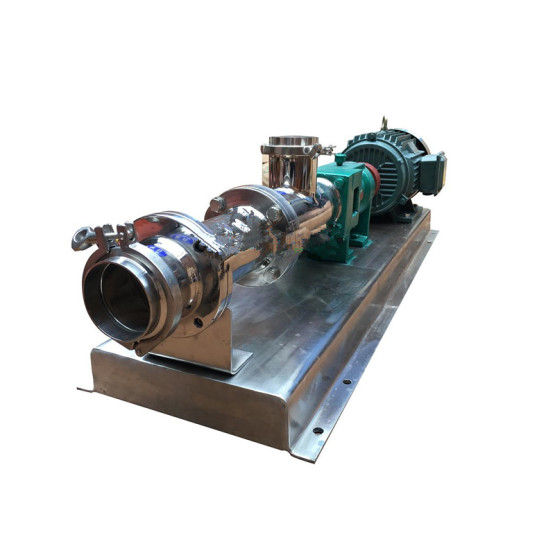 GF stainless steel sanitary grade single screw pump