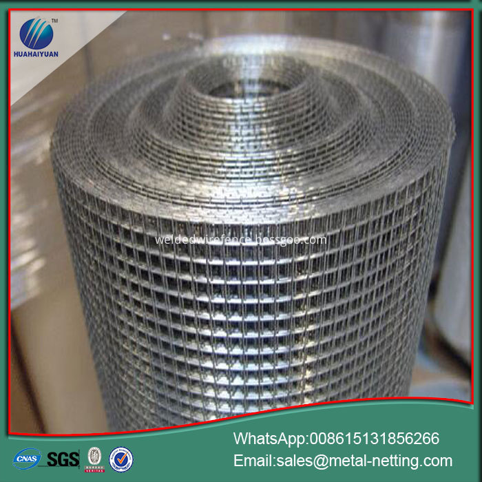 galvanized welded wire mesh