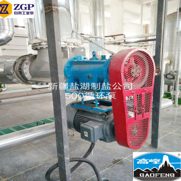Circulation Axial Flow Pump For Salt industry