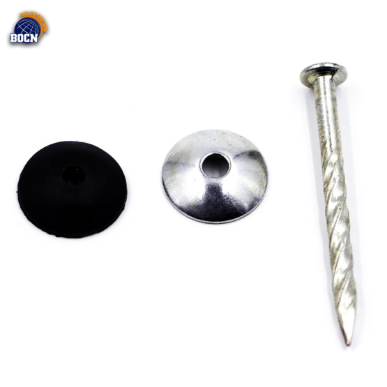 Stainless Steel Roofing Nail