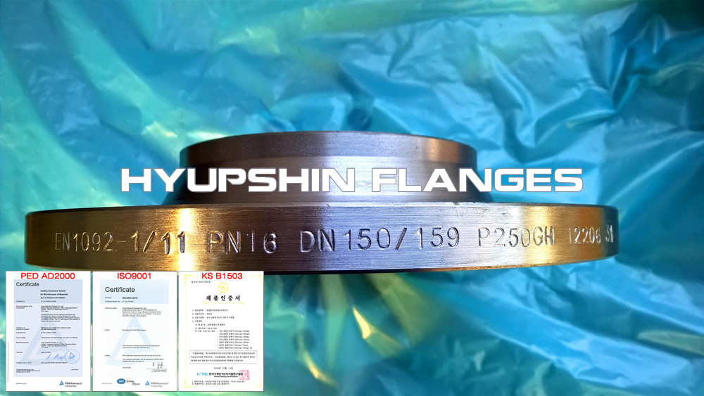 Hyupshin Flanges En1092 Wnrf