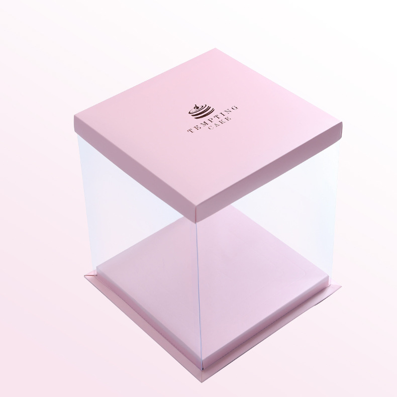 Plastic Cake Box 4