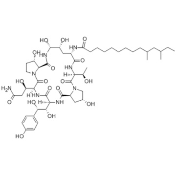 Pneumocandin B0 CAS 135575-42-7