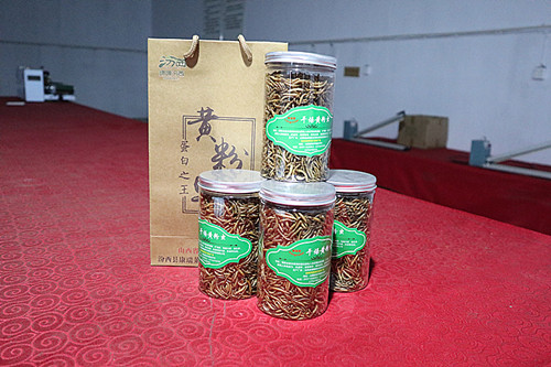 pet food dried tenebrio molitors