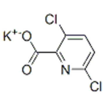 2-Pyridinecarboxylicacid, 3,6-dichloro-, potassium salt (1:1) CAS 58509-83-4