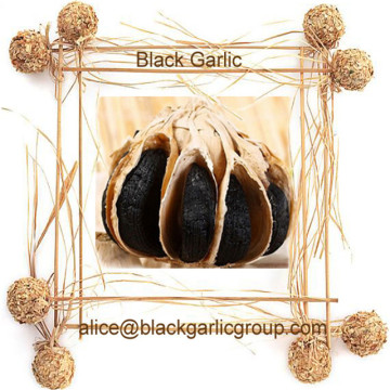 Health Food Black Garlics For Cuisine