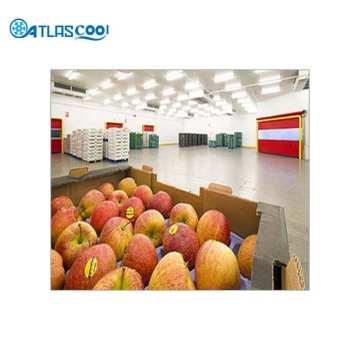 Controlled atmosphere cold storage room for apples