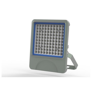 100W Special Design LED Flood Light