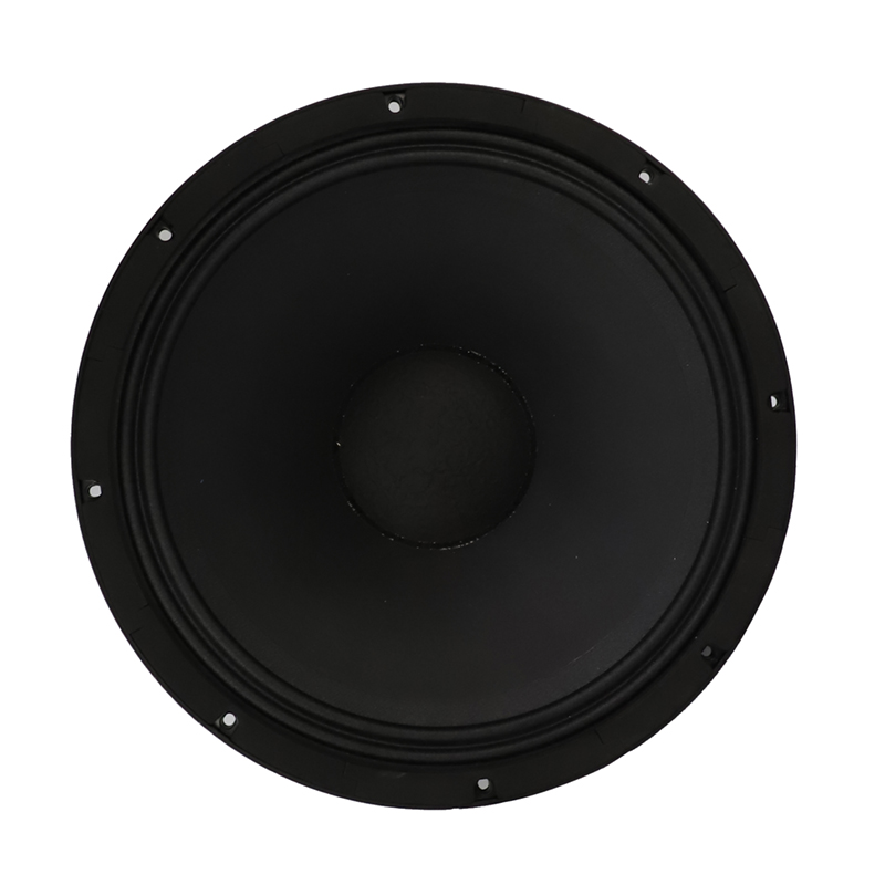 8ohm Party Stage Speaker