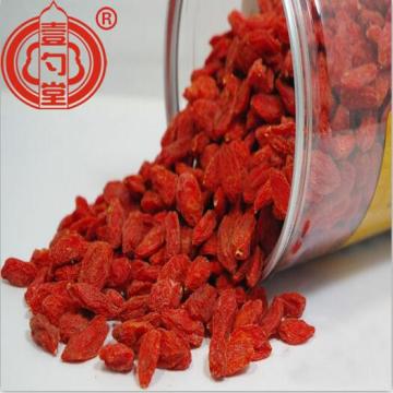 Medicinal Healthy Red Dried Goji Berry Fruits