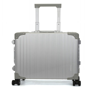 Home Bussiness Travel Upright Hardside Spinner Luggage