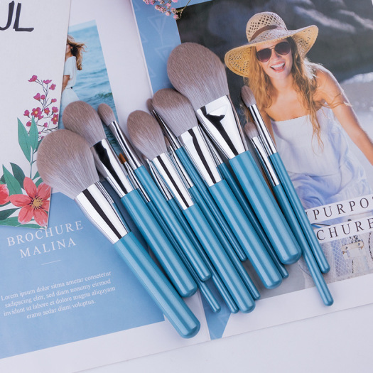 13Pcs acrylic highlighting brush makeup brushes bag case