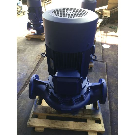 YG vertical pipeline oil pump