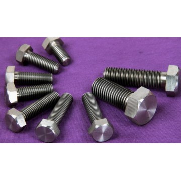 Gr1 pure Titanium screw