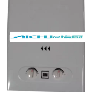 Instantaneous Gas Water Heater