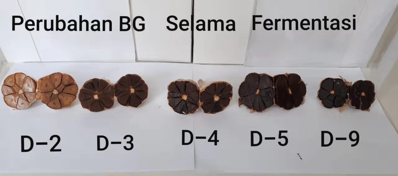 BLACK GARLIC