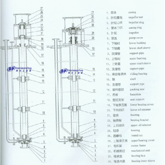 SCCY Long Shaft Submerged Pump