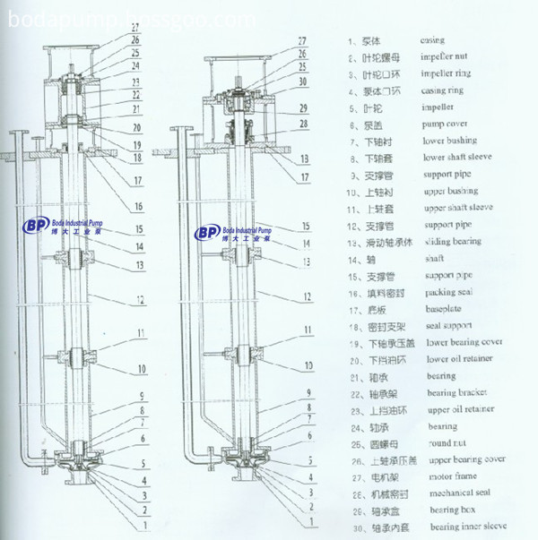 SCCY Long Shaft Submerged Pump 