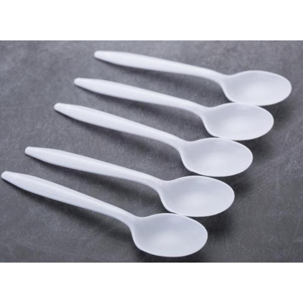 White Disposable Plastic Spoon