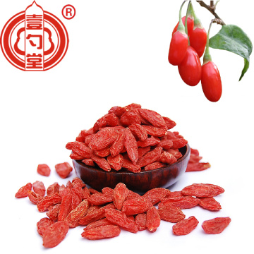 Nutrient-Rich Superfood Goji Berries Raw Organic